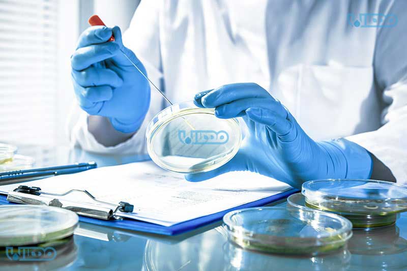 مزایا و ویژگی های بایوساید