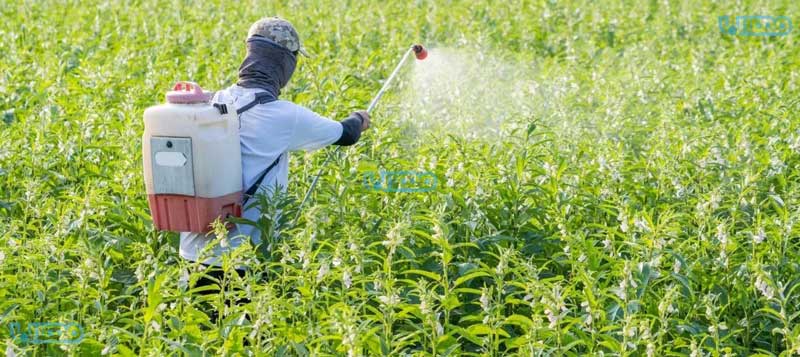 کاربردهای بایوساید